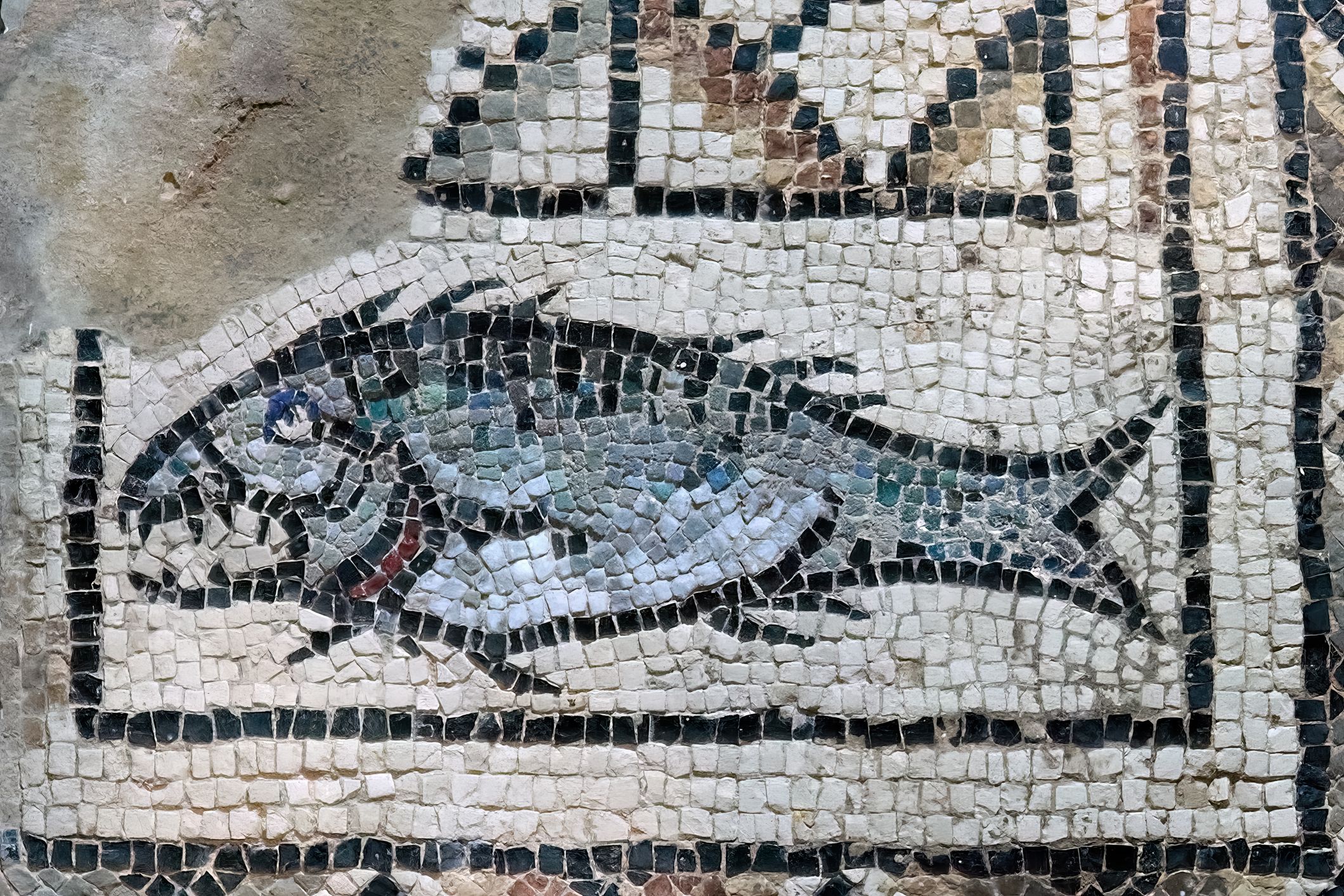 Katedrální bazilika Nanebevzetí Panny Marie je římskokatolická bazilika v istrijském městě Poreč v Chorvatsku