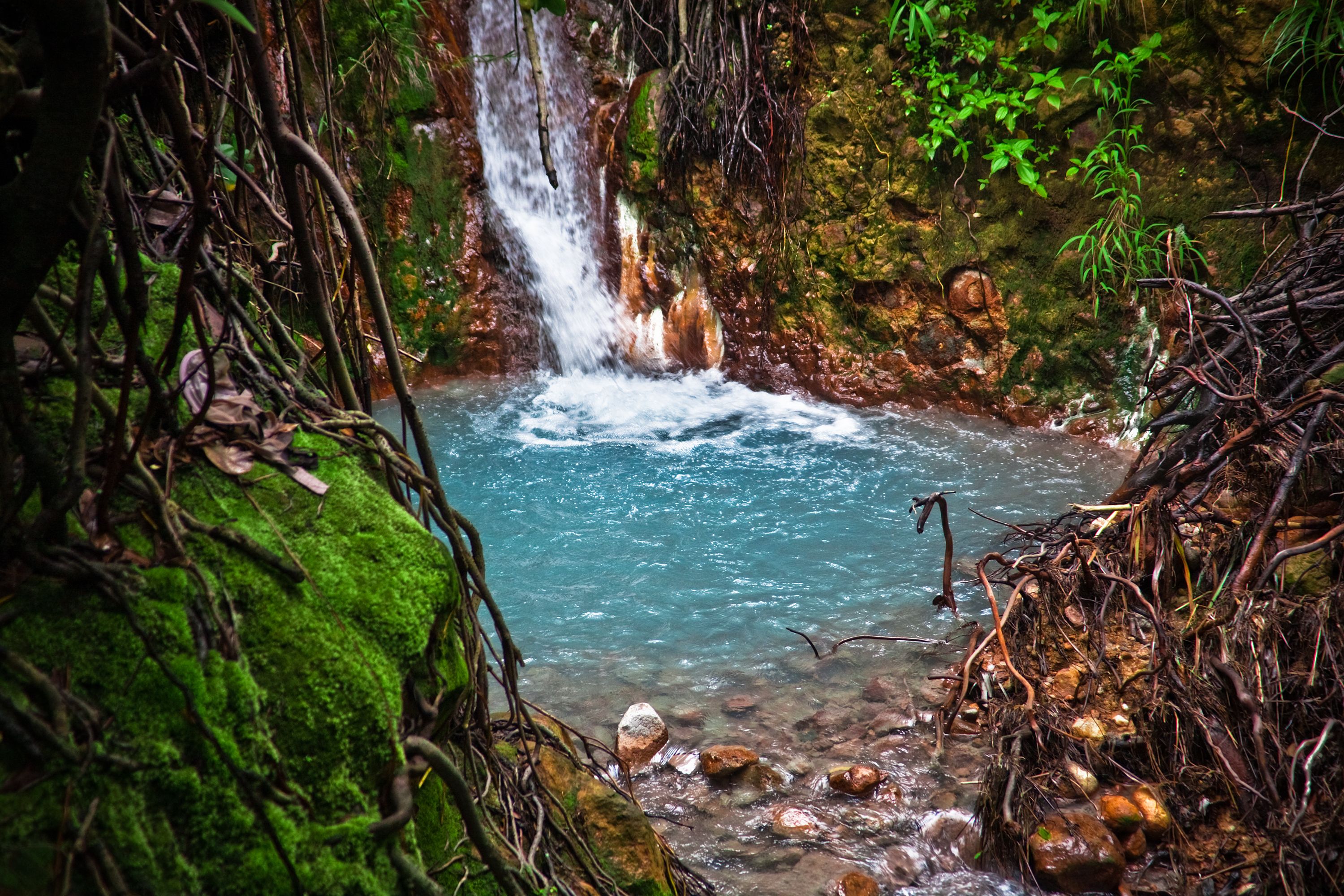 Captivating Martinique - sailing in the tropical Caribbean with French ...