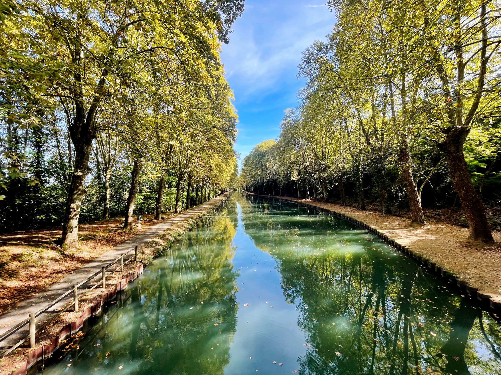 Trees along th Canal du Midi in France