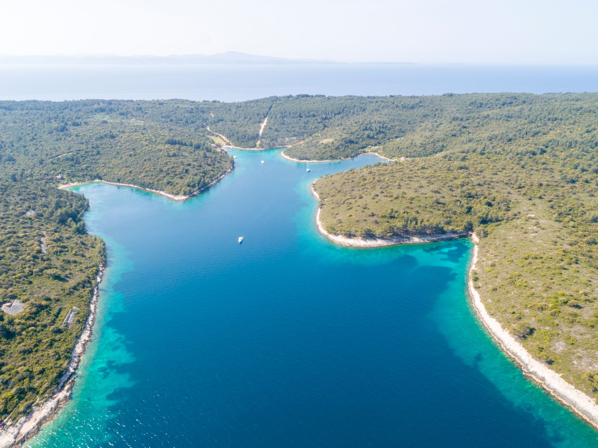 Sea and Forests in Lovisce bay