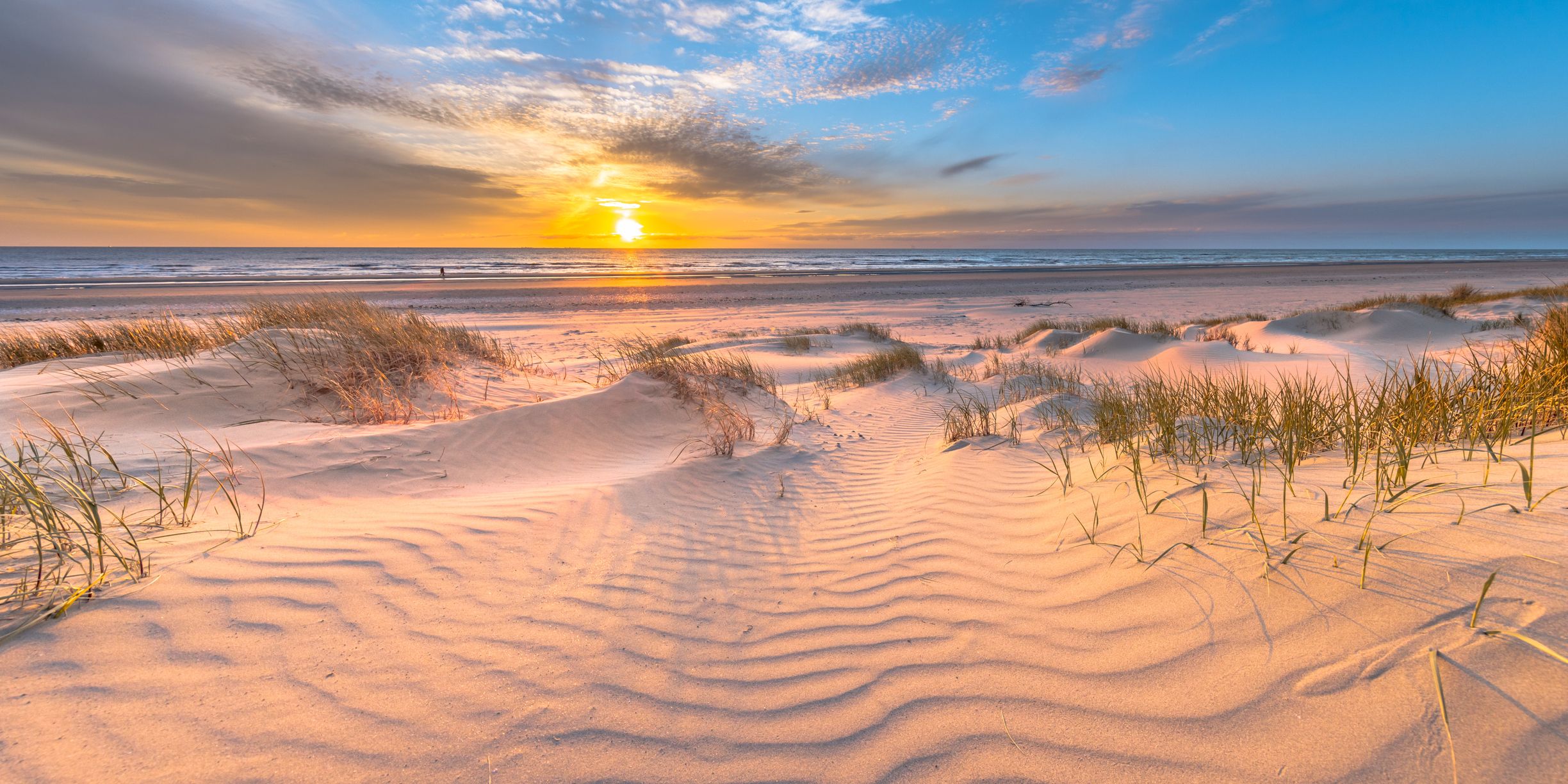 Beach and dunes Dutch coastline landscape seen from Wijk aan Zee over the North Sea at sunset, Netherlands