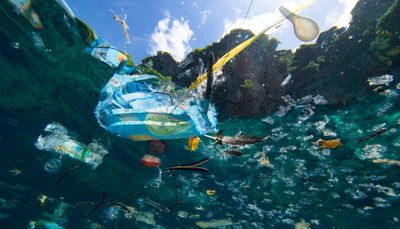 10 способов позаботиться об экологии в море