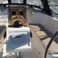 Bavaria Cruiser 37 | Whiff