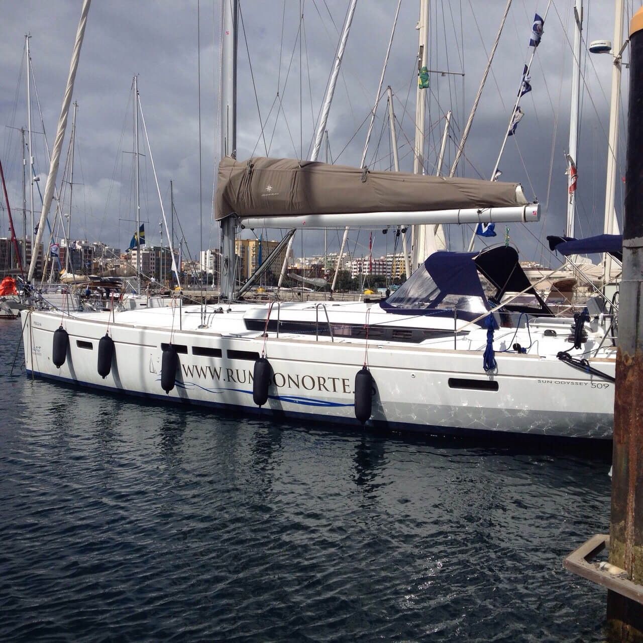 Jeanneau Sun Odyssey 509 | The King of Cool