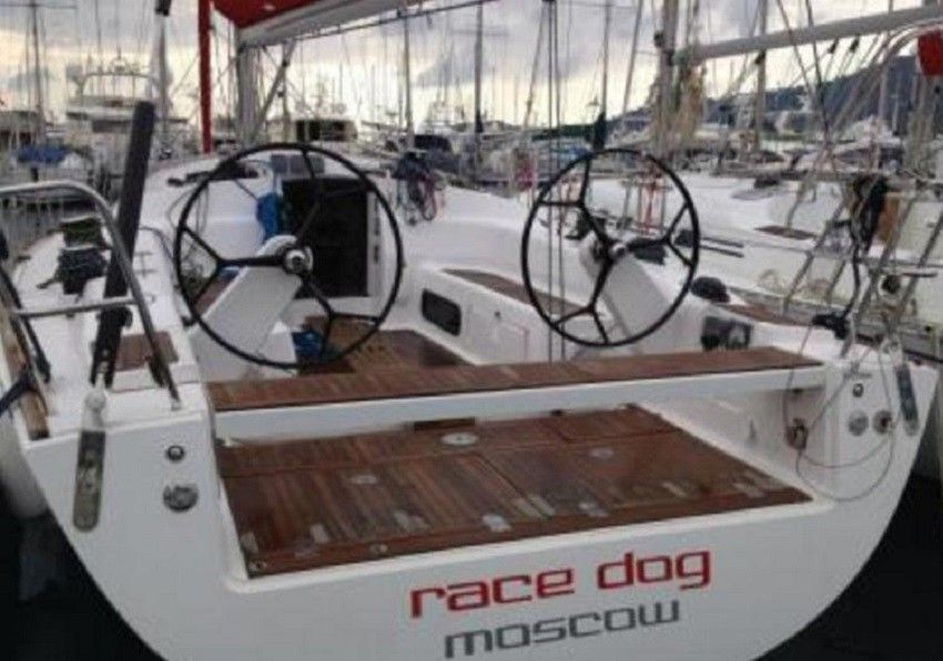 Salona 41 | Race Dog