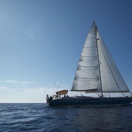 Dynamique 62 | Osyan
