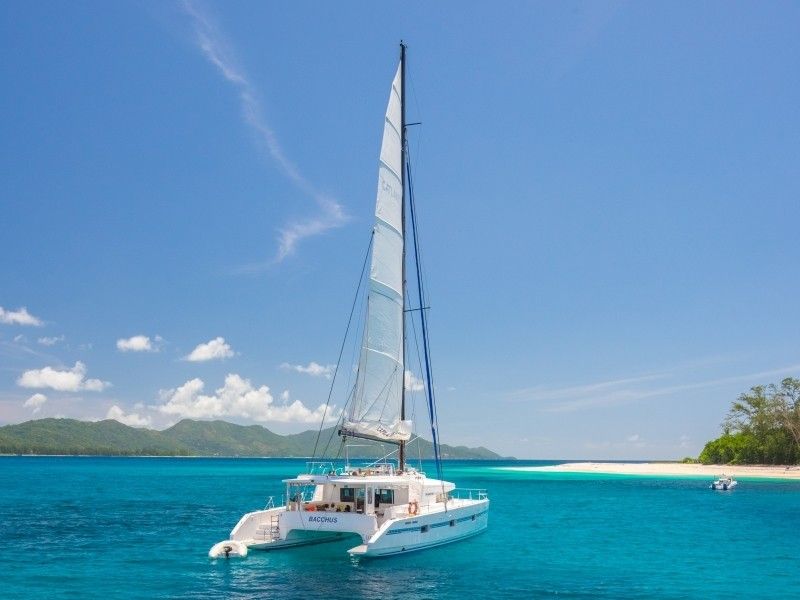 Catlante 600 | Bacchus