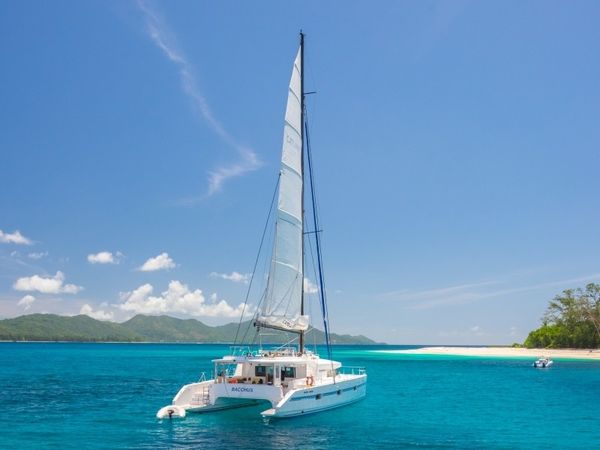 Catlante 600 | Bacchus