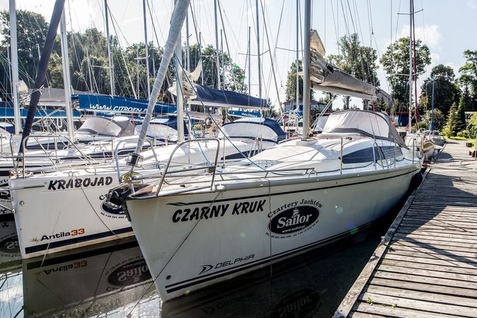 Delphia 33 MC | Czarny Kruk