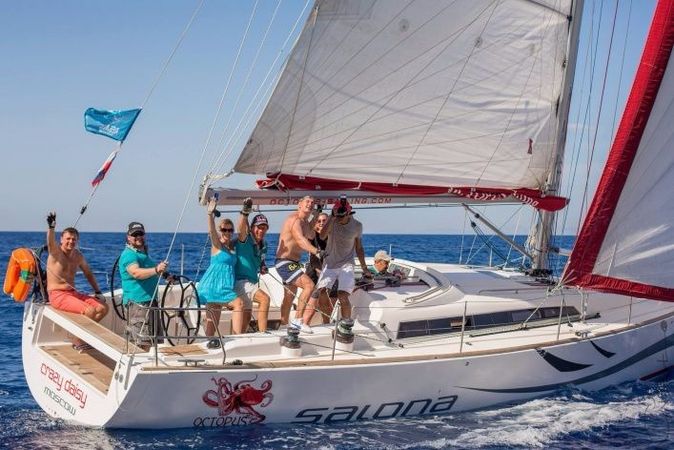 Salona 41 | Crazy Daisy