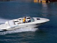 Sea Ray 240 (2010)