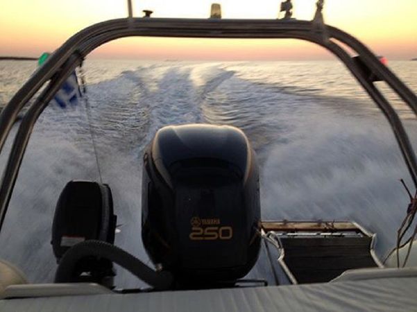 Dolphin 710 | Dolphin