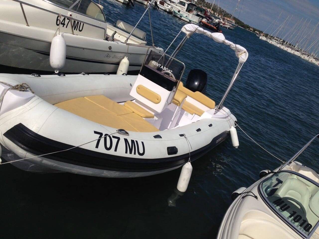 Italboats Predator 570 | Predator