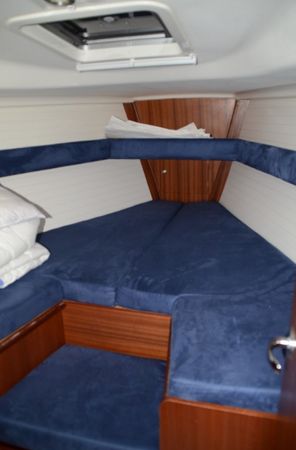 Delphia 37 | Arctic Vision