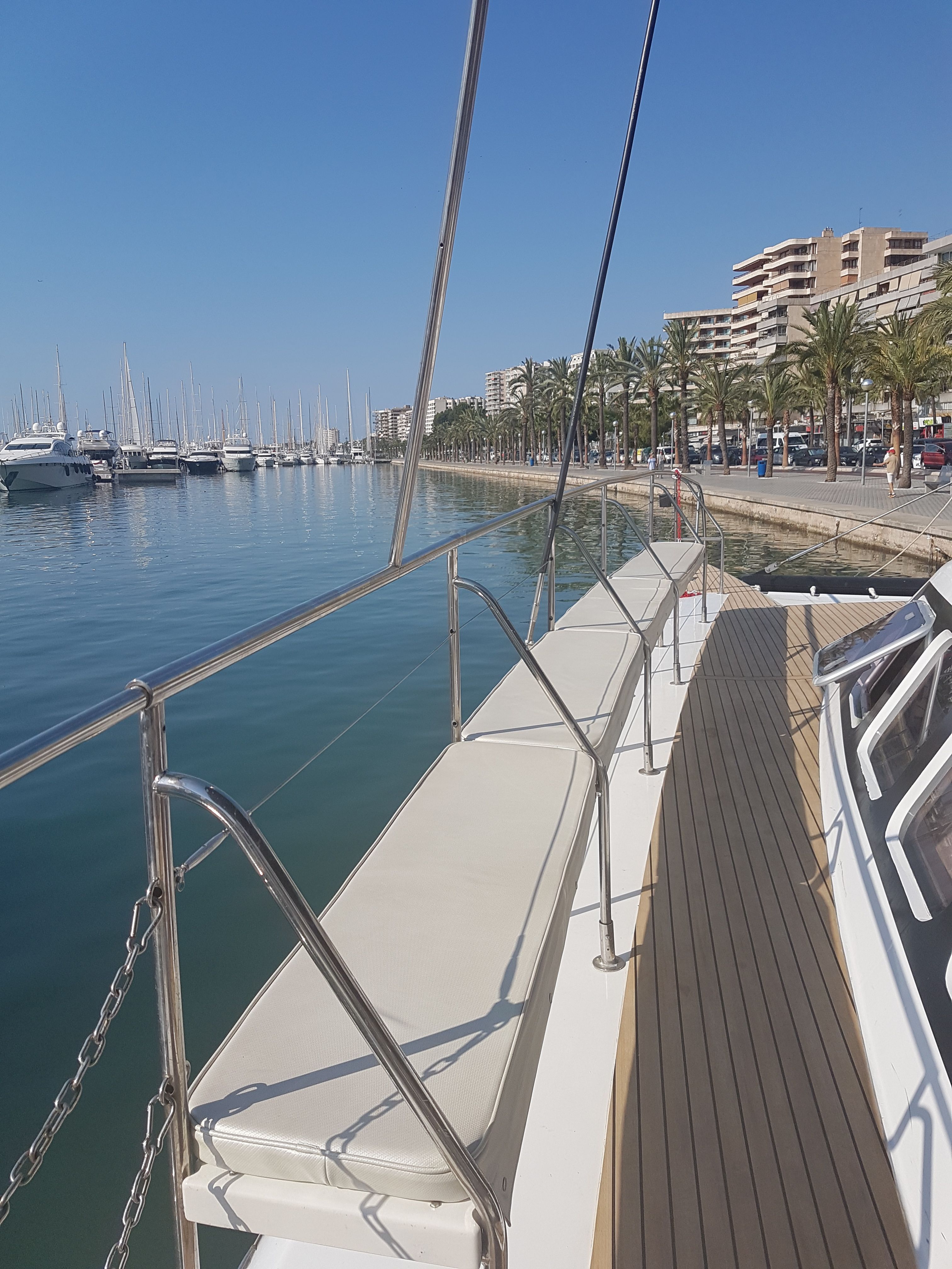 Freebird 50 | Magic 5