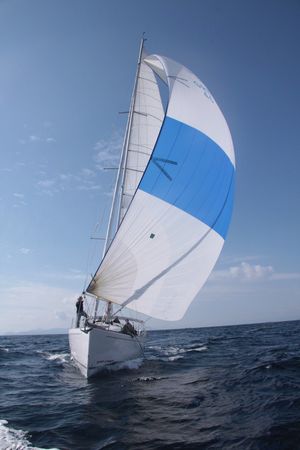 Salona 44 | Daddy's Toy