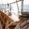Gulet 88 | Queen of Adriatic