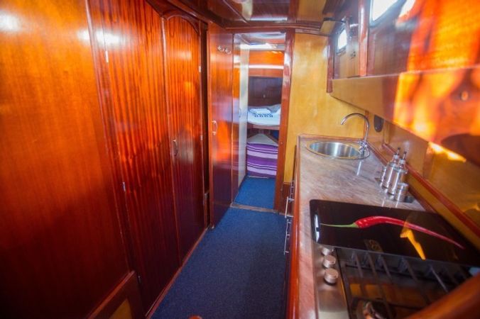 Leut 1950 | Vagabundo