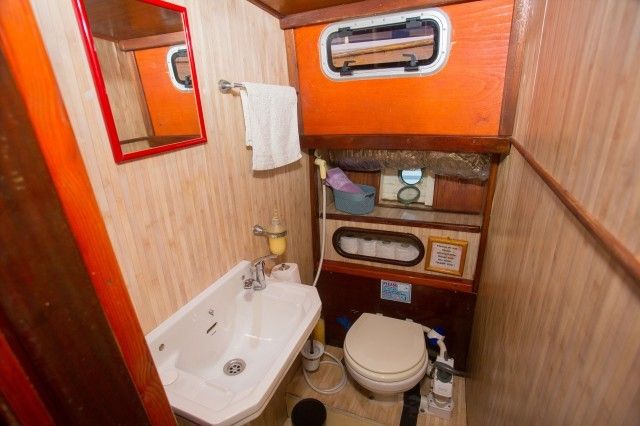 Leut 1950 | Vagabundo