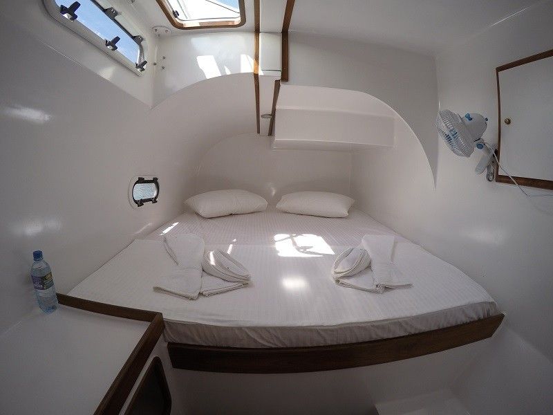 BAFF Polymech Ceycat 53 | Saphire