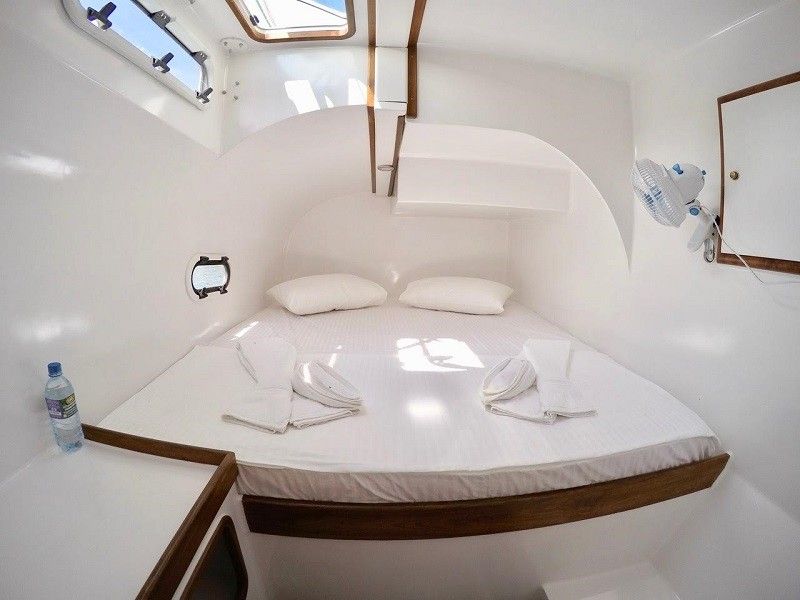 BAFF Polymech Ceycat 53 | Jade