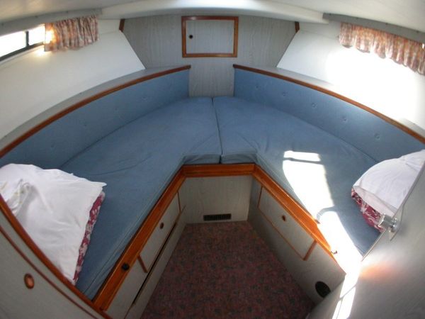 Clare 37 | Shannon 1