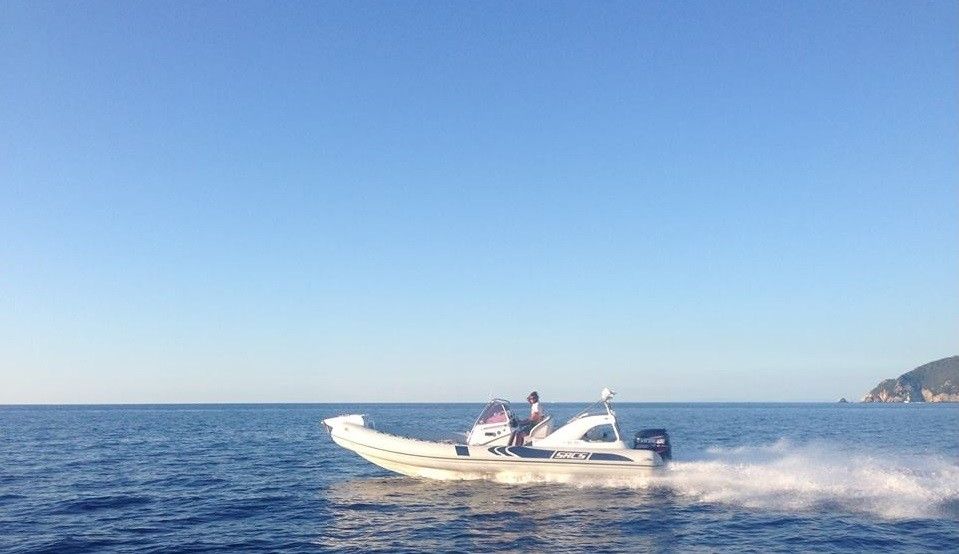 SACS 8.0 | Sacs  Sport