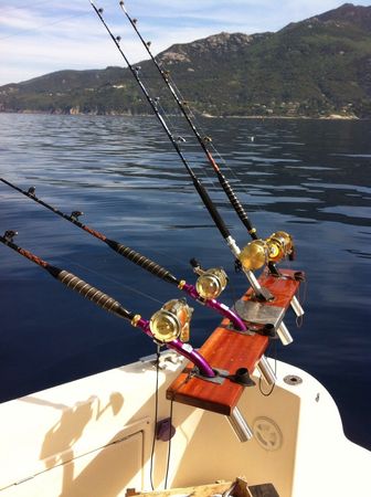 Intermare 30 | Freedom