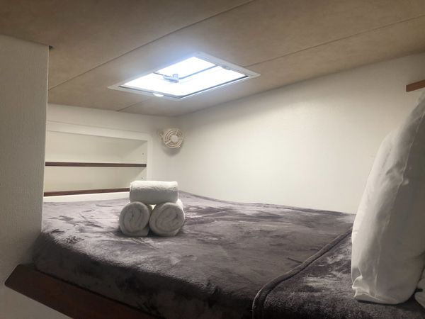 Voyage 520 | Windborne