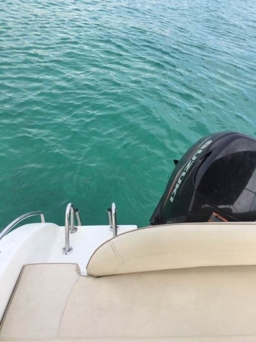 Belingardo 565 | Open