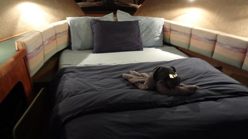 Bayliner 3888 | Ocean Pearl