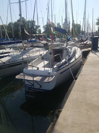 Balaton 31 | Tyrannos