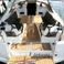 Jeanneau Sun Odyssey 349 | Antonija