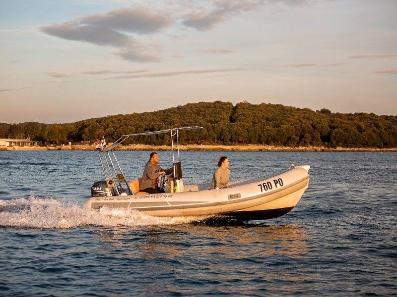 Stingher 550 | Stingher