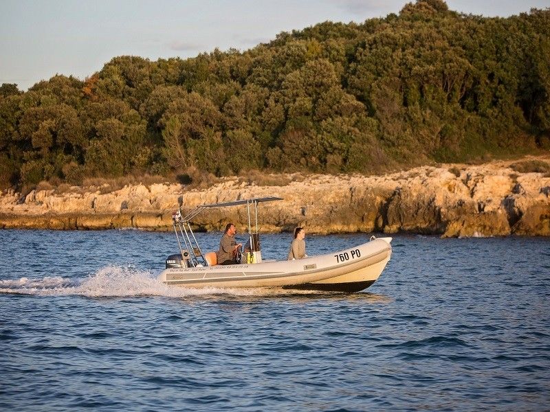 Stingher 550 | Stingher