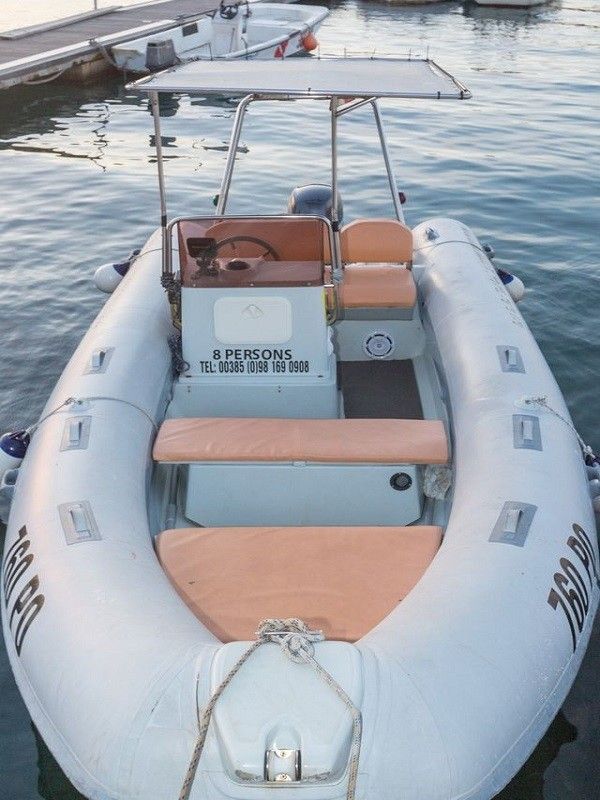 Stingher 550 | Stingher