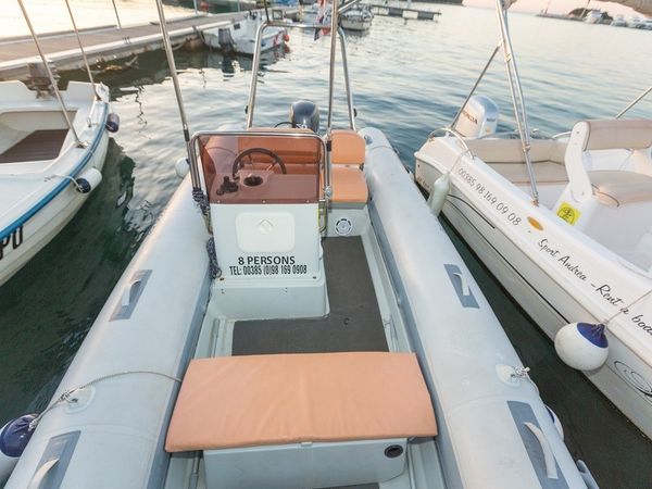 Stingher 550 | Stingher