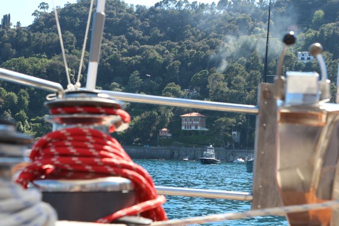 CCYD 55 | Rosie Probert Too