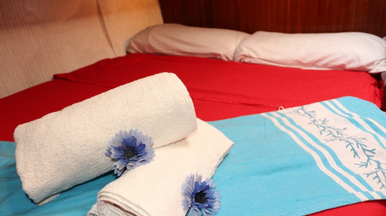 CCYD 55 | Rosie Probert Too