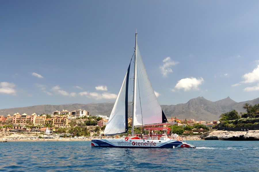 Fountaine Pajot Eleuthera 60 | White Paradise Cat