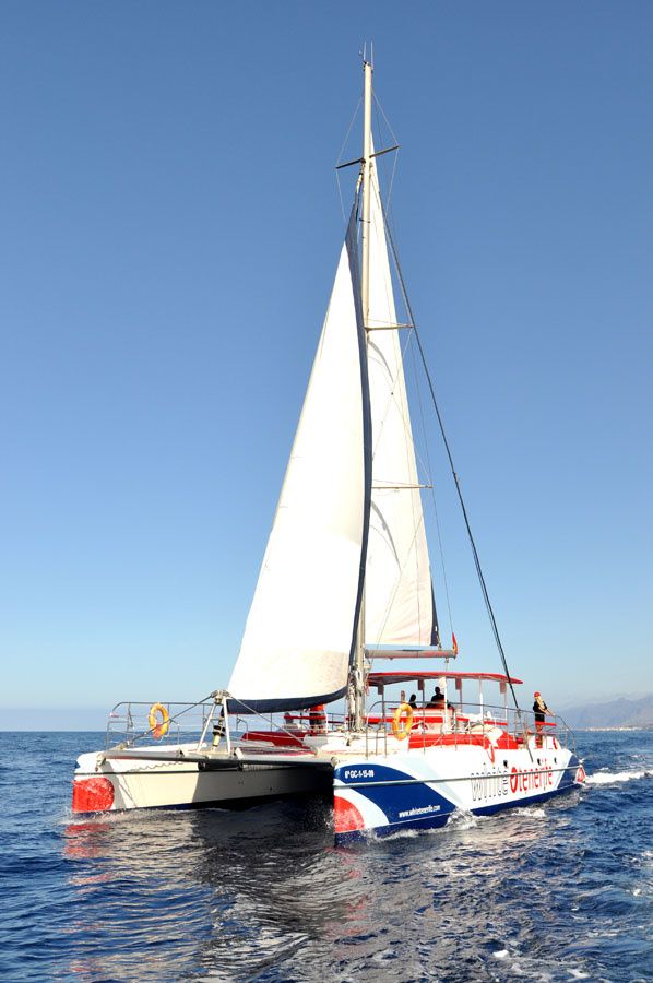 Fountaine Pajot Eleuthera 60 | White Paradise Cat