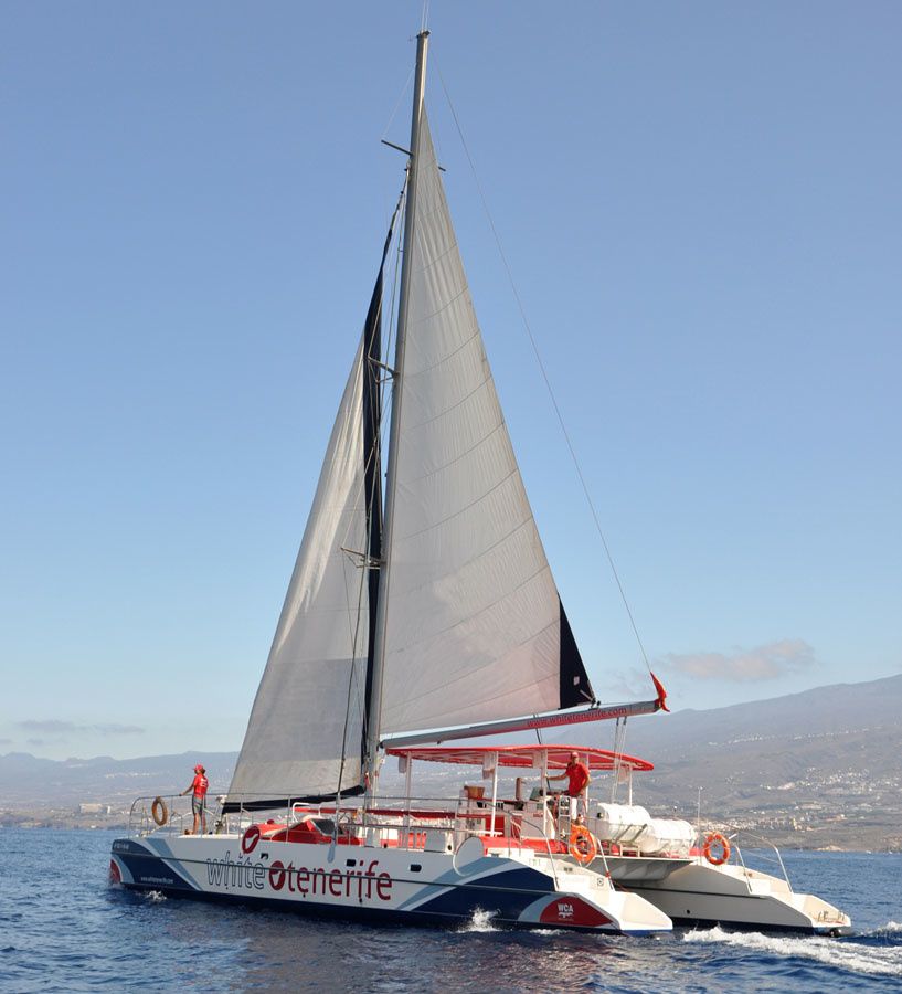 Fountaine Pajot Eleuthera 60 | White Paradise Cat