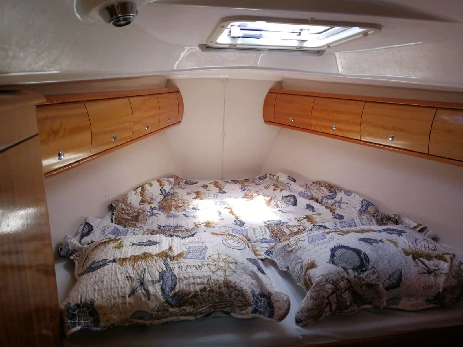 Bavaria 38 Cruiser | Argo