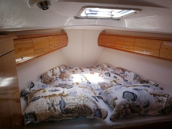 Bavaria 38 Cruiser | Argo