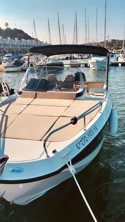 Quicksilver 755 | Mosquito