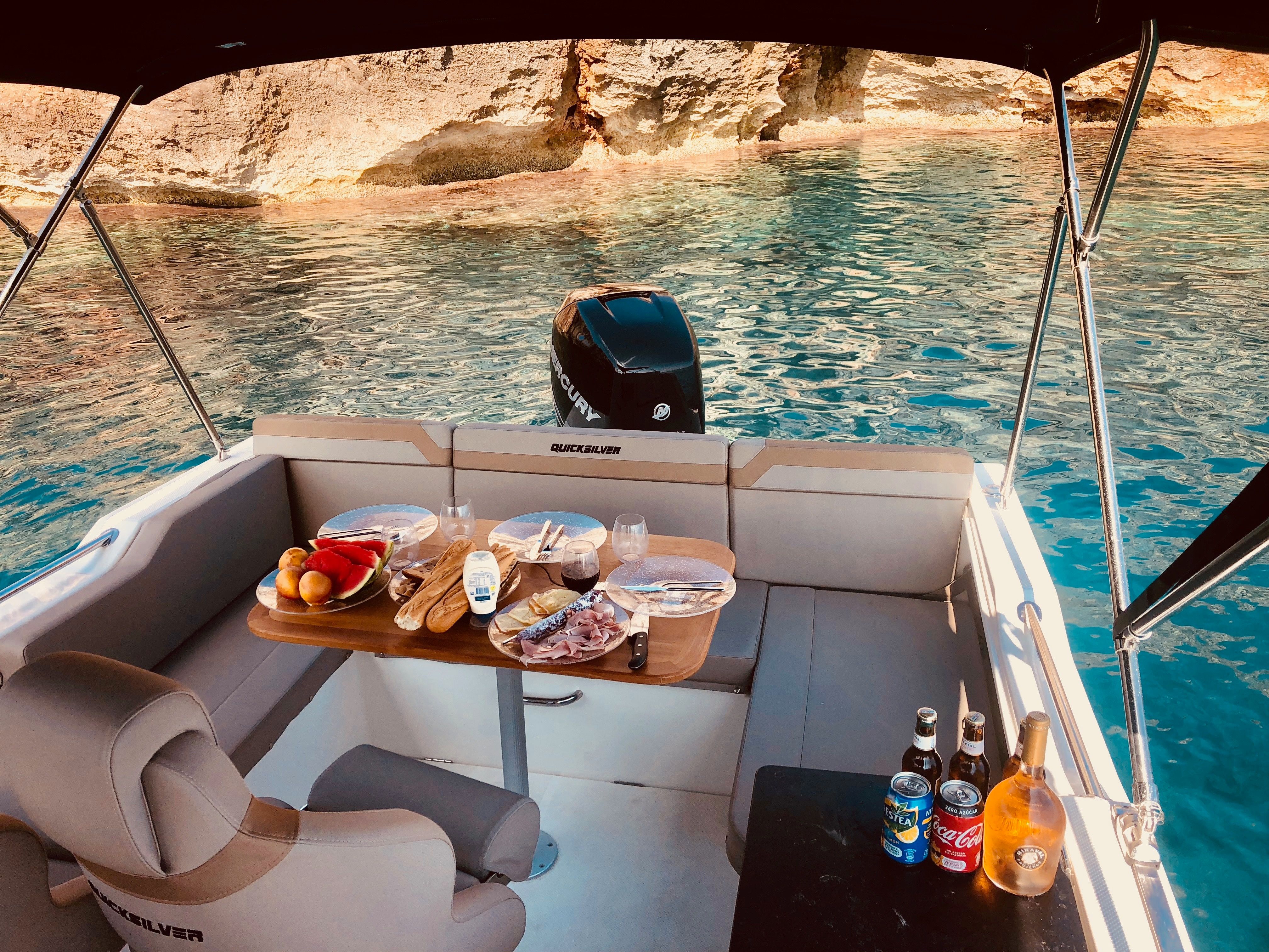 Quicksilver 755 | Mosquito