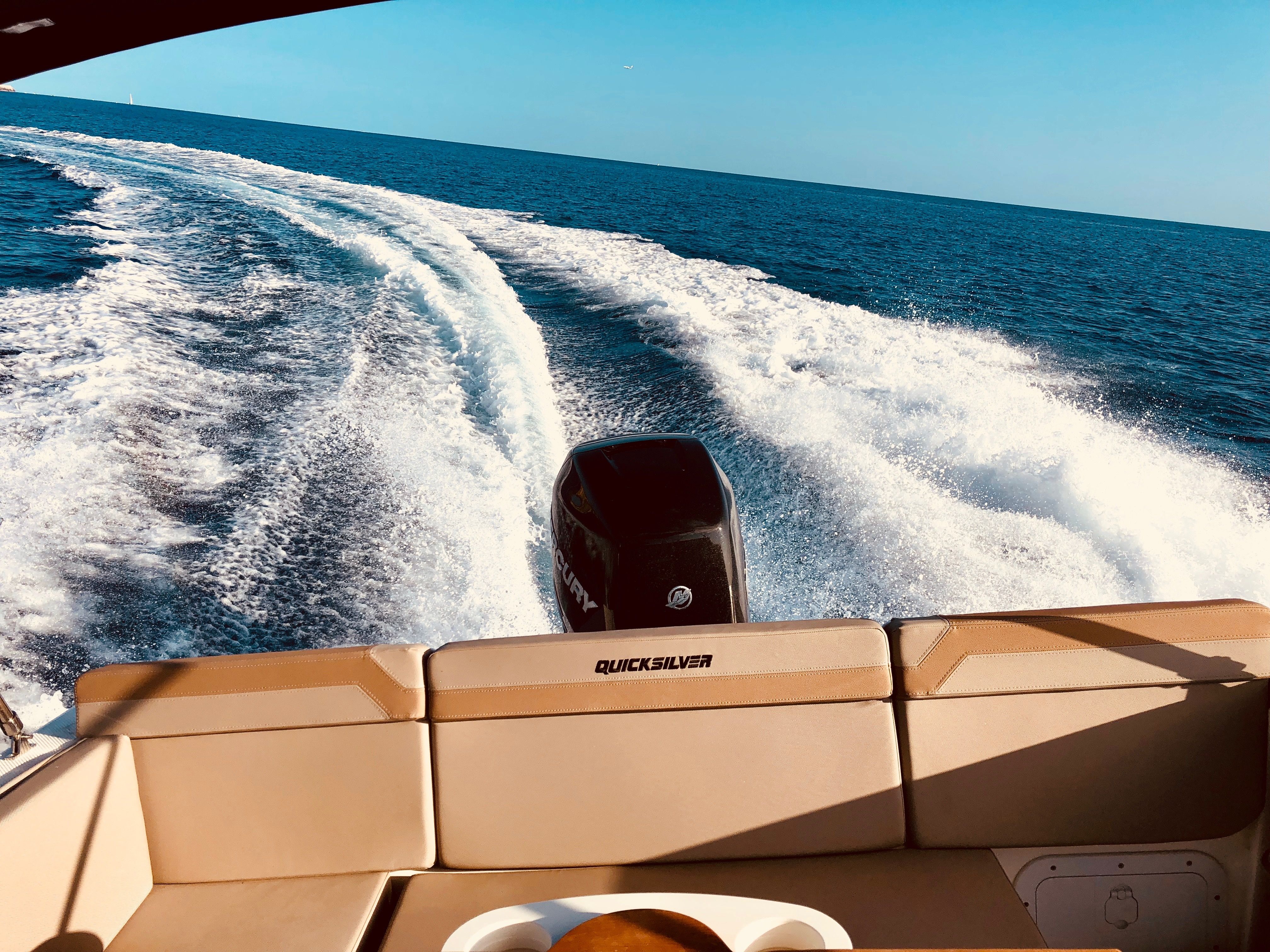 Quicksilver 755 | Mosquito