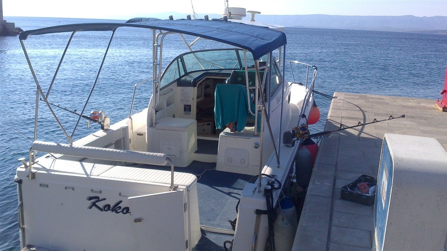 Trophy 2802 | Kokotic 2