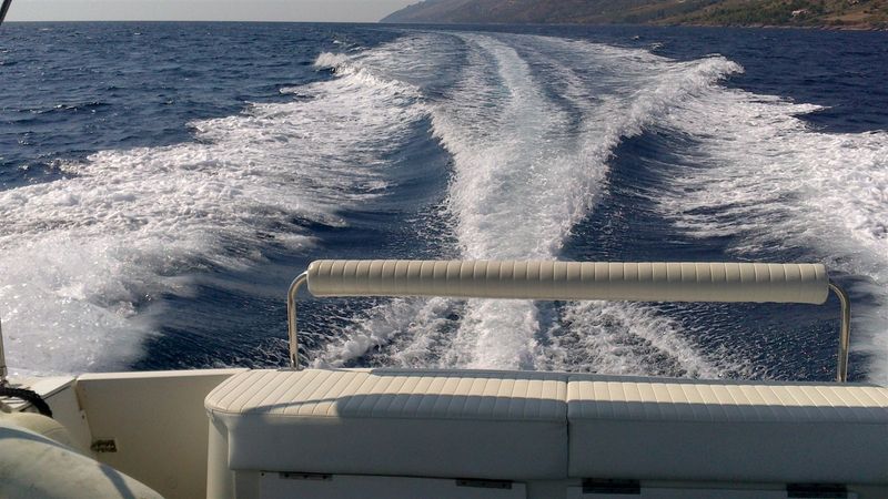 Trophy 2802 | Kokotic 2