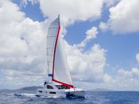 Leopard 40 (2016)